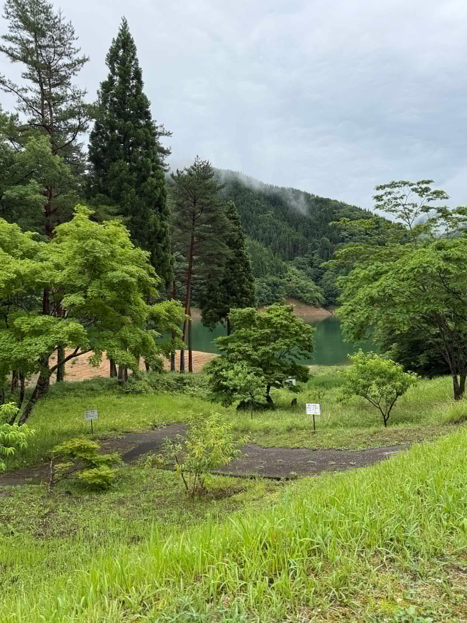 新緑に包まれた九頭竜湖畔のキャンプ場