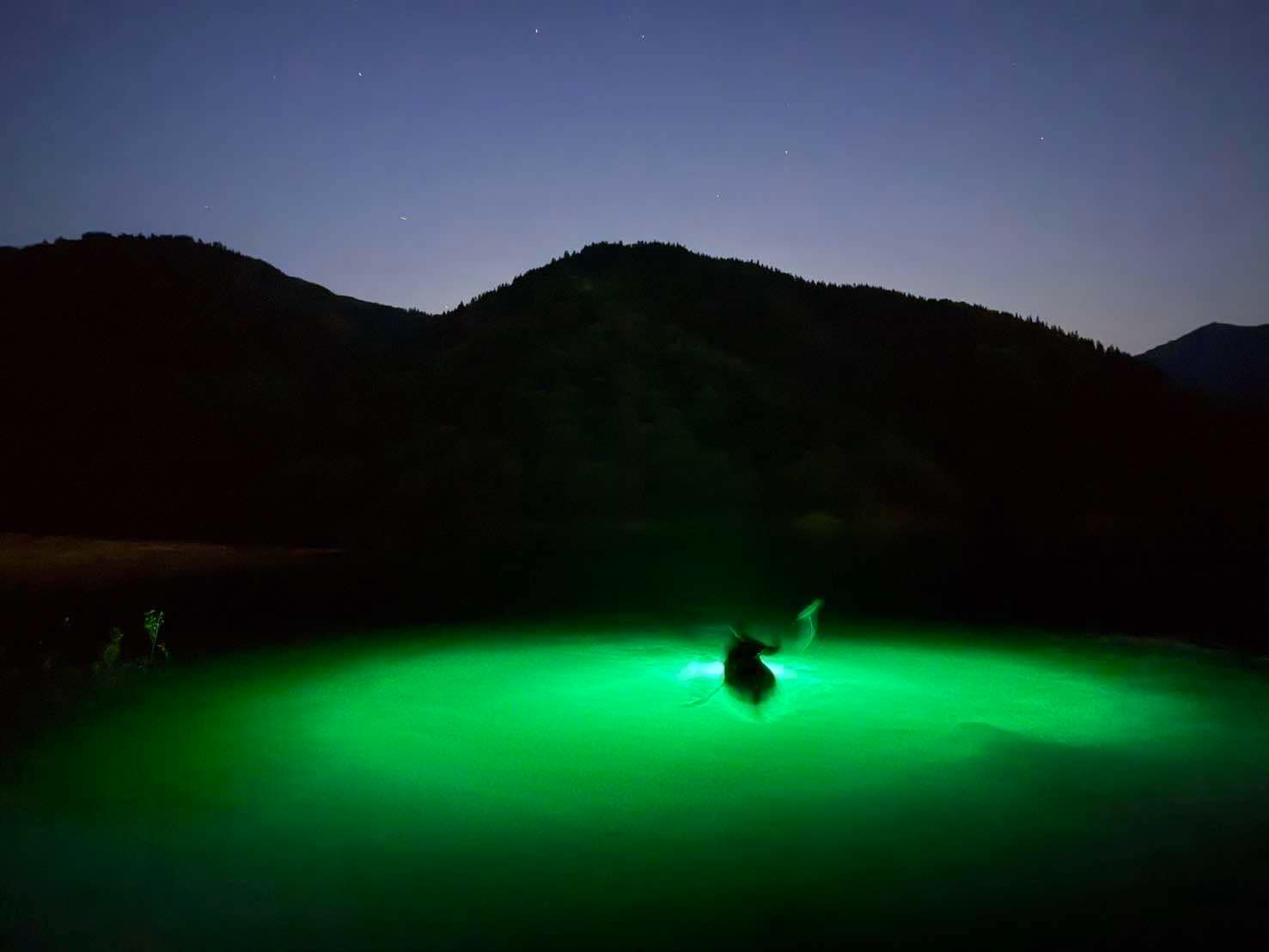 星空の下で楽しむ夜の湖上アクティビティ